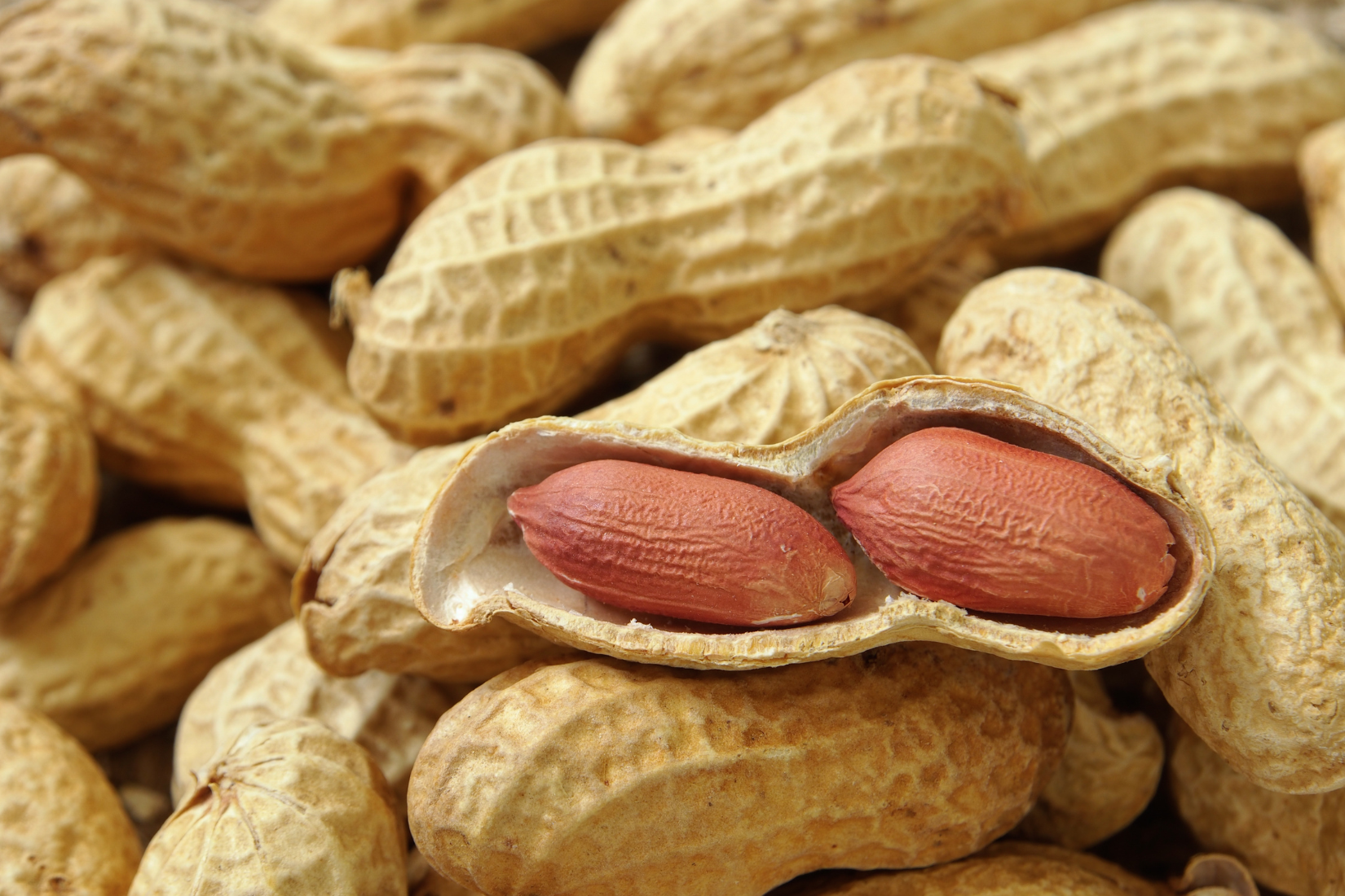 Ground Nuts